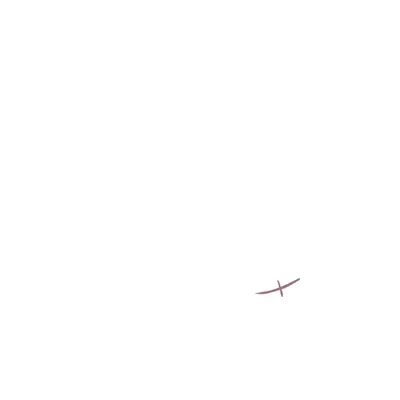 face_12.g4tx