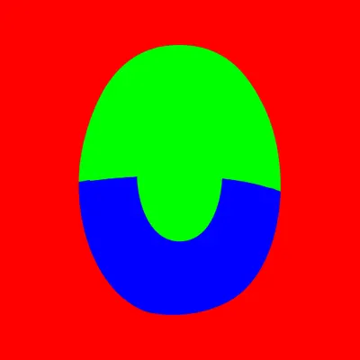 pupil_29.g4tx