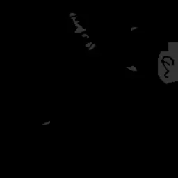 h0005020.g4tx