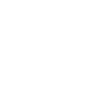 d010030.g4tx
