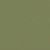 Texture de i000172
