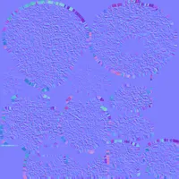 Texture de kt000024