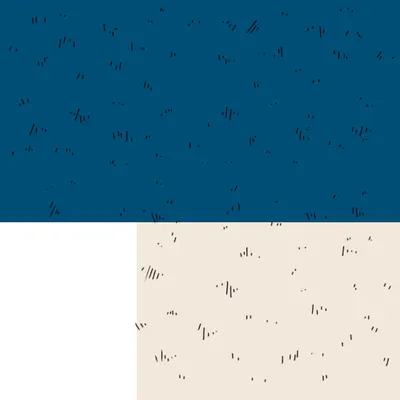 u010101_50.g4tx