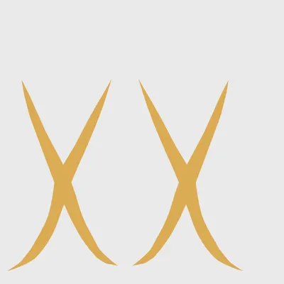 u075501_10.g4tx
