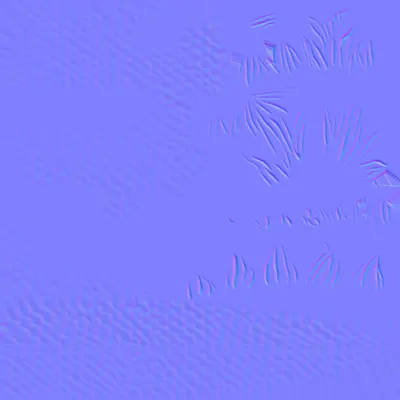 ev60_00580.g4tx