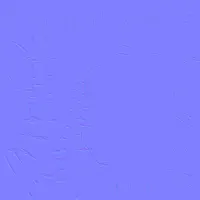 Texture de ev60_01270
