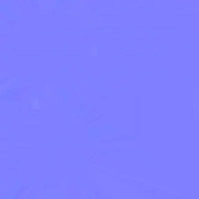 ev60_02090.g4tx