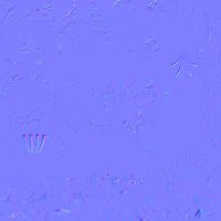 Texture de ev60_10120