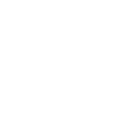 ev62_10040.g4tx