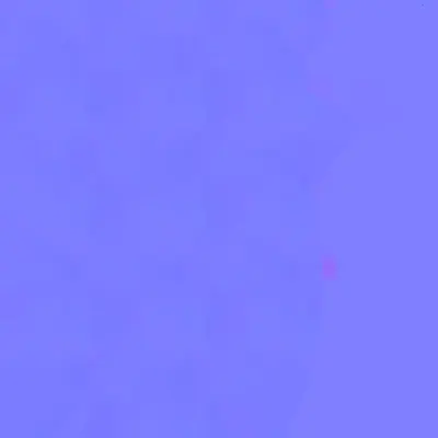 ev63_00420.g4tx
