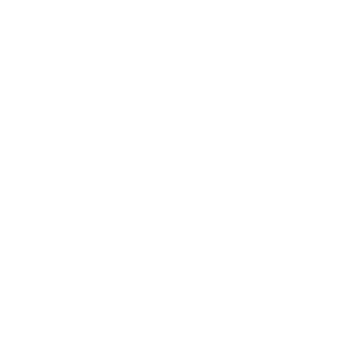 ev63_10080.g4tx