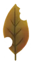 es00300a.g4tx