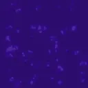 ev070320000100.g4tx