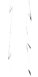 ef_ev26_04210_c00110.g4tx