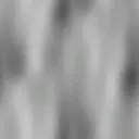 ev60002600.g4tx