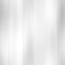 ev60005200.g4tx