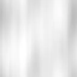 ev60012900.g4tx