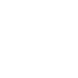 ev60016800.g4tx