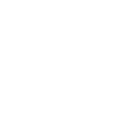 ev60017400.g4tx
