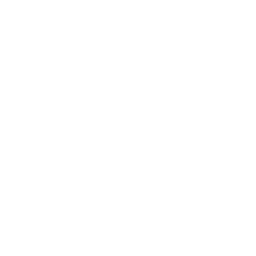 ev60022600.g4tx