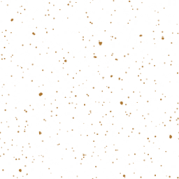 ev60025200.g4tx