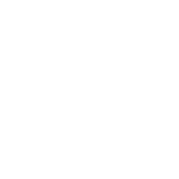 ev60026600.g4tx