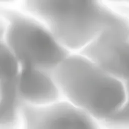 ev60100100.g4tx