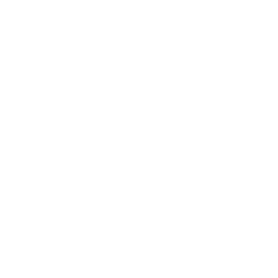 ev60100300.g4tx