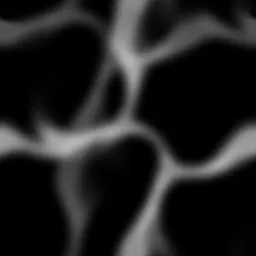 ev61002500.g4tx