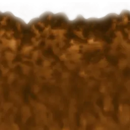 ev61006200.g4tx