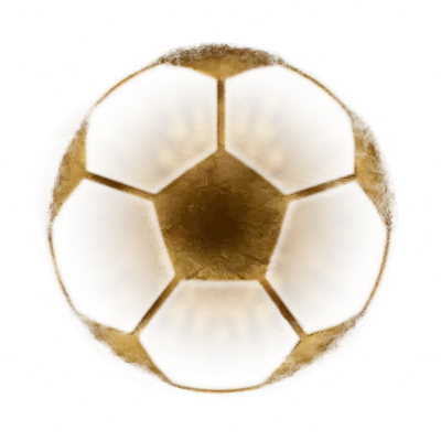 ev61008600.g4tx