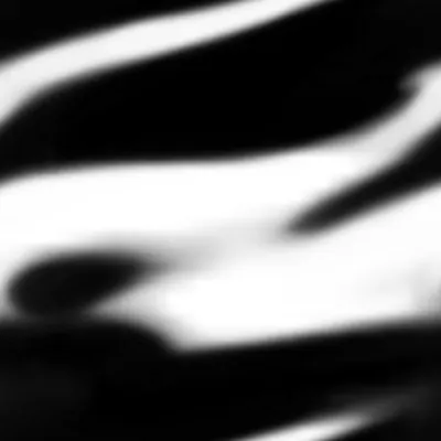 ev61008800.g4tx