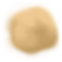 ev61009300.g4tx