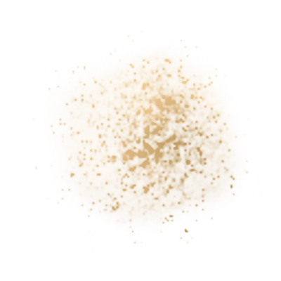 ev61100100.g4tx