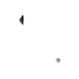 ev63008400.g4tx