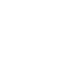 ev63010600.g4tx