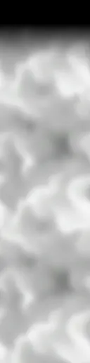 ev63100700.g4tx