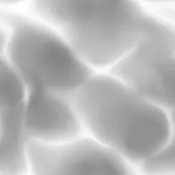 ev65401450.g4tx