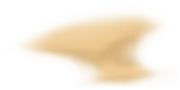 ev74005200.g4tx