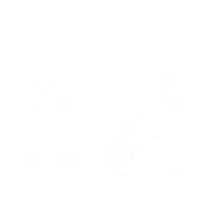 ao219.g4tx