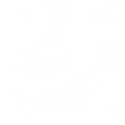 ao221.g4tx