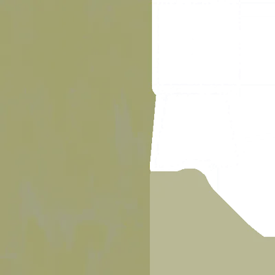 ao309.g4tx
