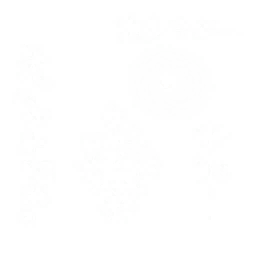 pl296.g4tx