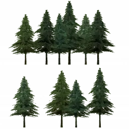 tree10a.g4tx