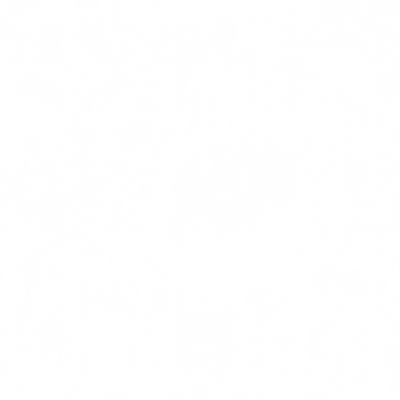 s06ao.g4tx