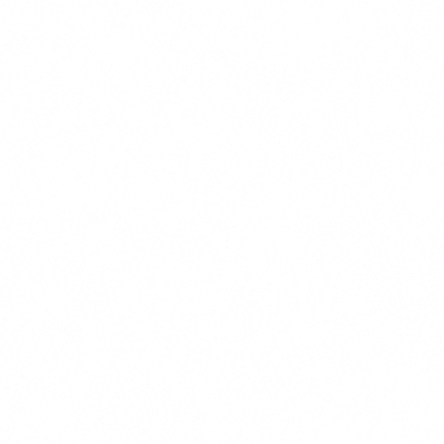 s20g001c.g4tx
