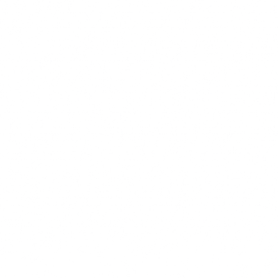 s28g001g.g4tx