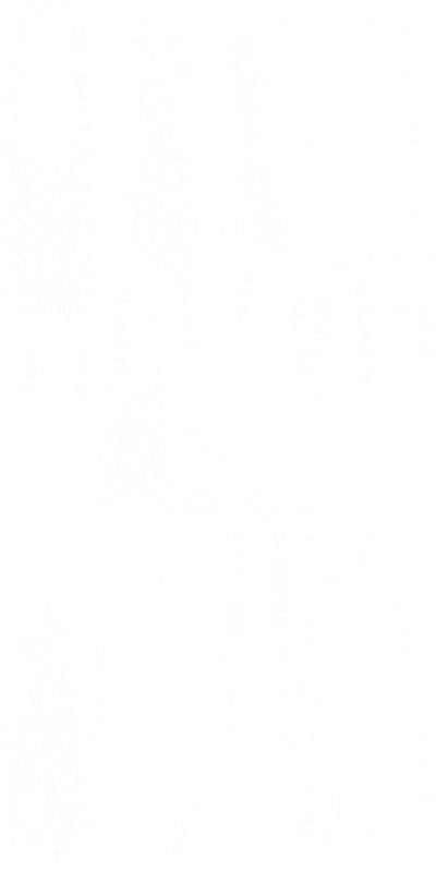 s30ao002.g4tx