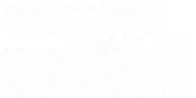 s31ao.g4tx