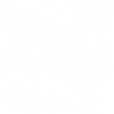 s35ao.g4tx